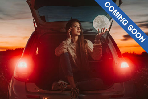 Vehicle Registration Services